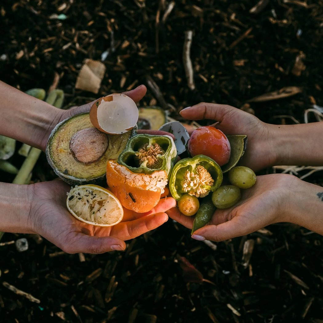 Info Session: Community Composting for Green Spaces - Cycle 5 1